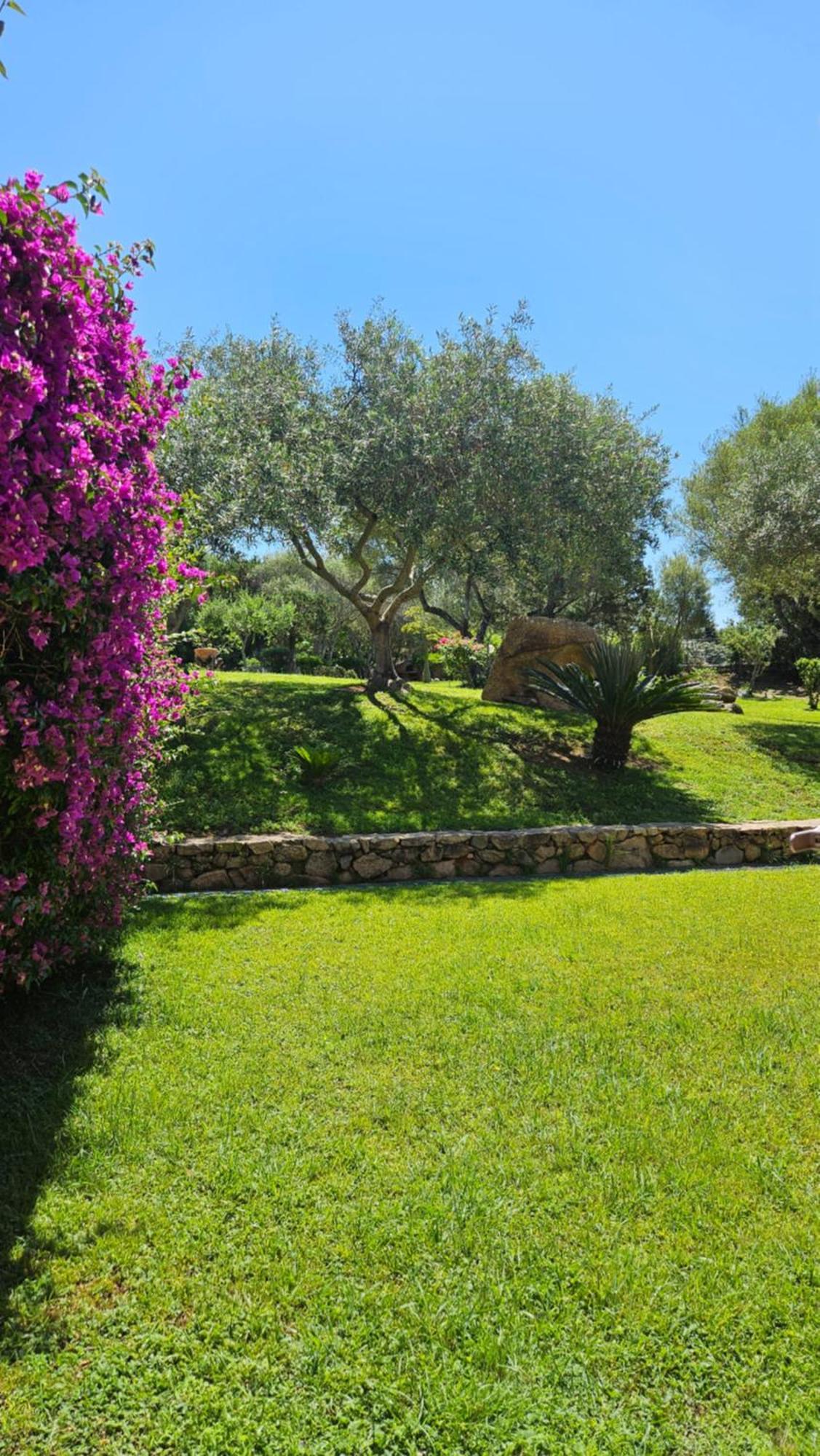 Residenze Coda Cavallo San Teodoro  Exteriér fotografie